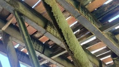 Jembatan Rusak Parah Masyarakat IV Koto Setingkai Lubuk Agung Sungai Sarik Menjerit, Apa Kabar Pemerintah!