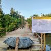 Kondisi Jembatan Sungai Sarik, Redo Antoni Sandra Soroti Lantai Kayu Berpotensi Tidak Mampu Bertahan Lama